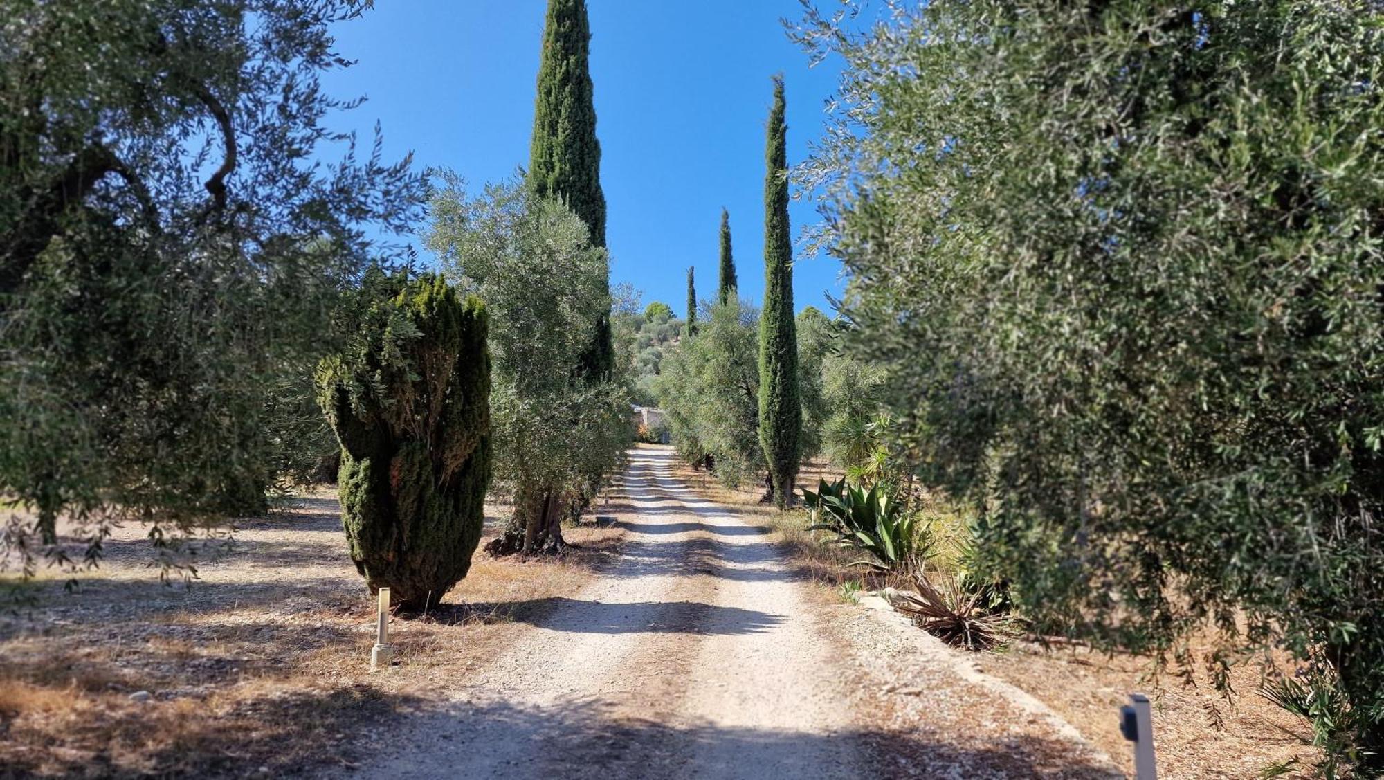 Le Fronde Vieste Villa Exterior foto